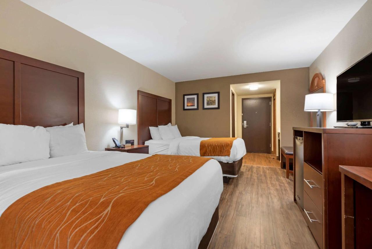 Comfort Inn Binghamton I-81 Екстер'єр фото